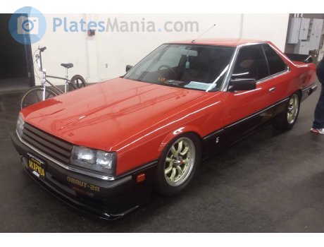 AKAPNDA, Nissan Skyline