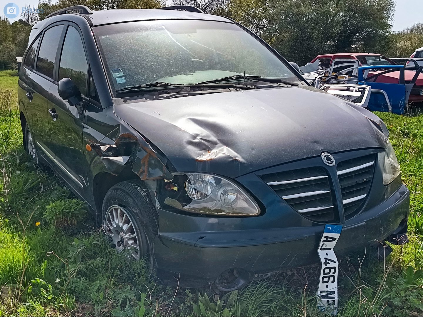 AJ-466-NP, SsangYong (KGM) Rodius / Stavic / Turismo 1st gen (A100), 2004–2007