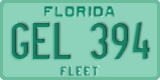 Florida, Fleet