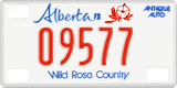 Alberta, Antique Auto (12345)