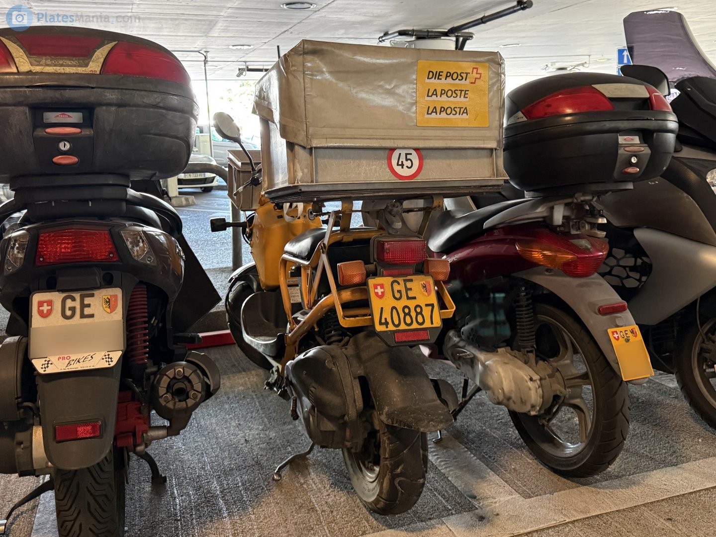 GE 40887, Honda Zoomer 