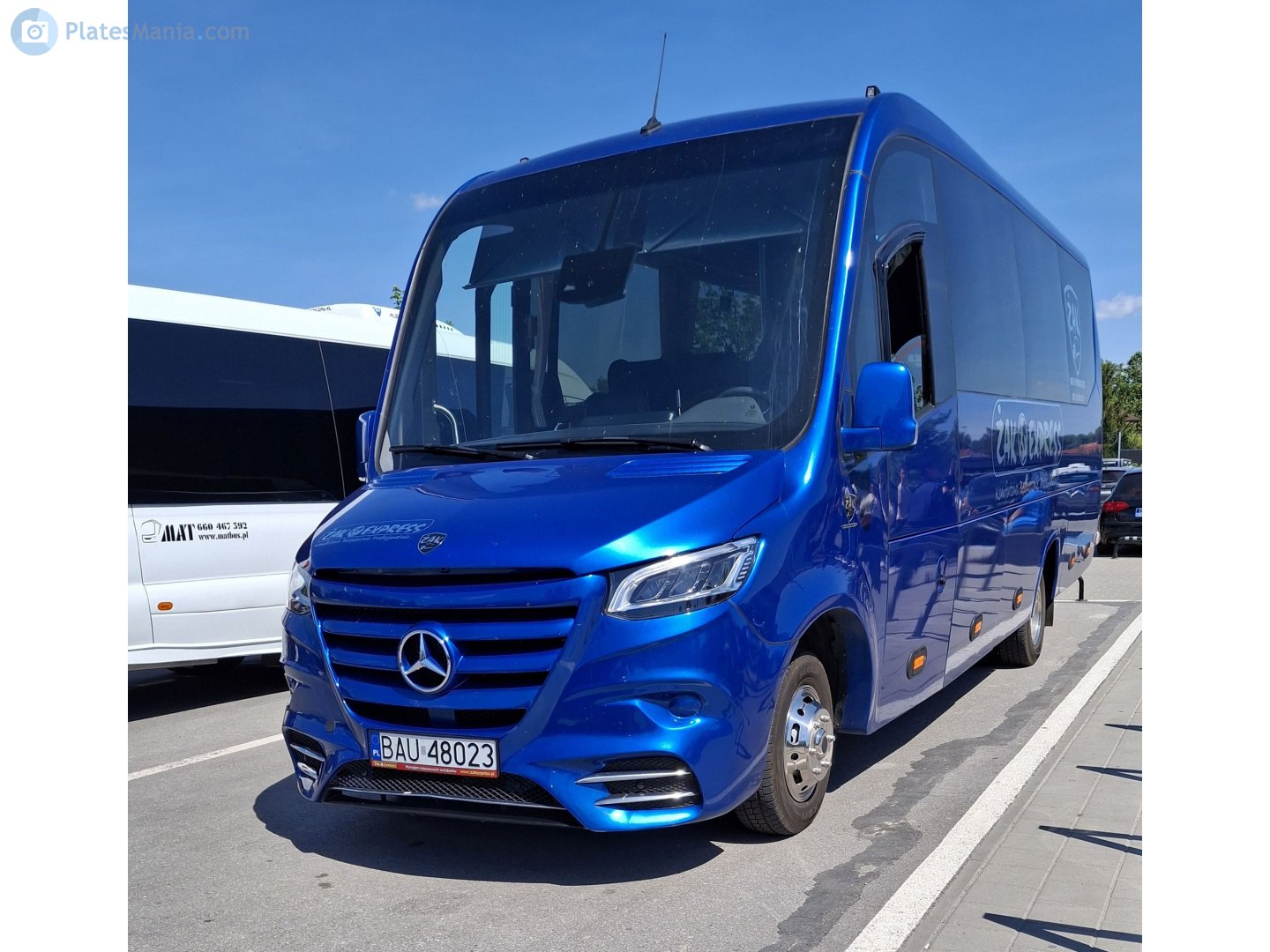 BAU 48023, Tekaydinlar Torc 