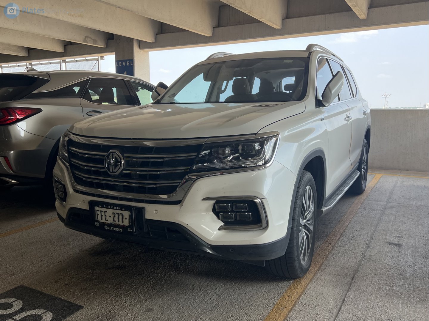 FFE-277-A, MG RX8 1st gen, 2019–