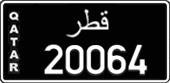 20064