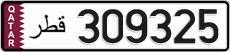 309325