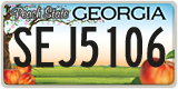 Georgia, ABC 1234
