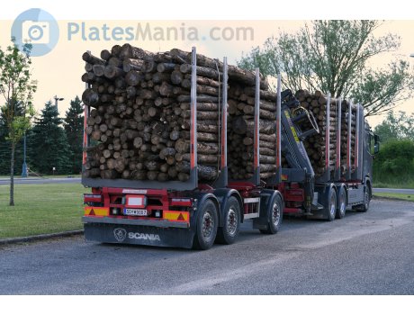 SO WOOD 7, Riedler Fahrzeugbau