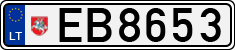 License plate of Lithuania, Electric vehicles