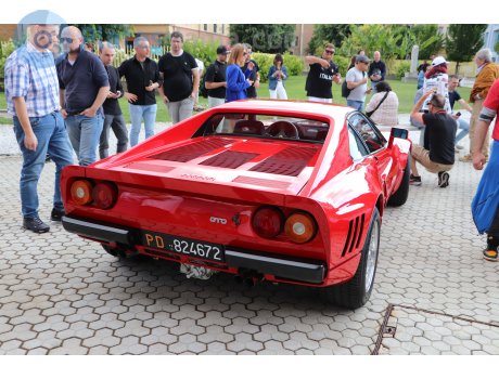 PD 824672, Ferrari GTO