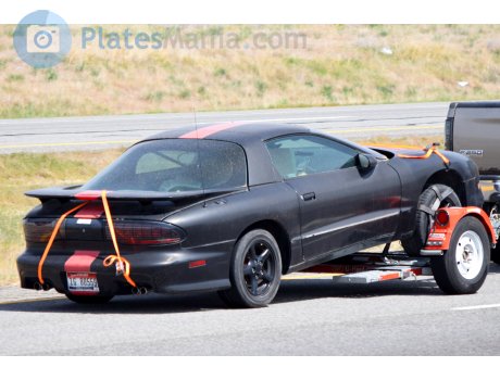 1G 80559, Pontiac Firebird
