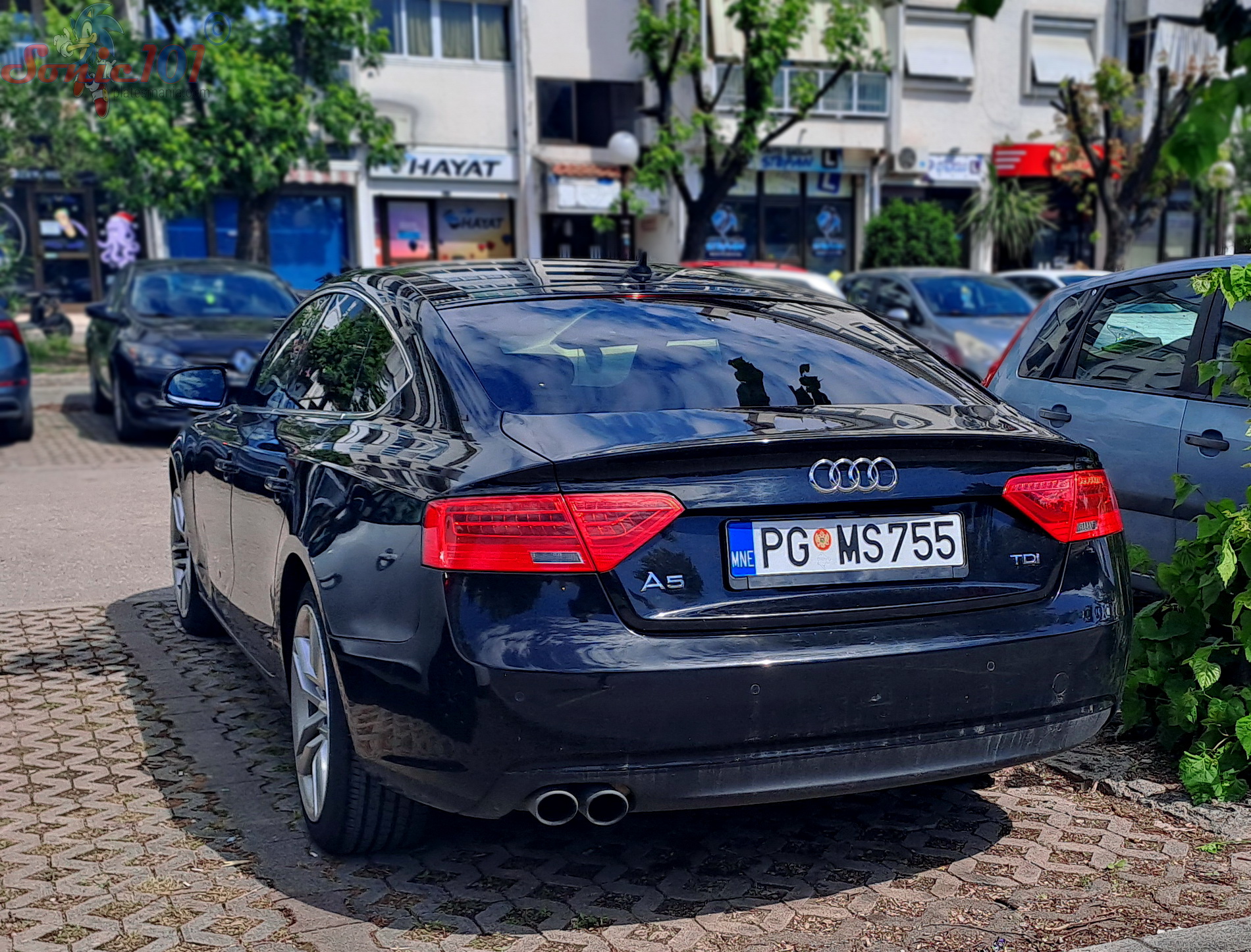 PG MS755, Audi A5 1st gen Sportback (B8/8TA), facelift, 2011–2016