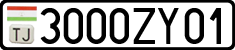 3000ZY01