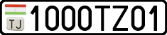 1000TZ01