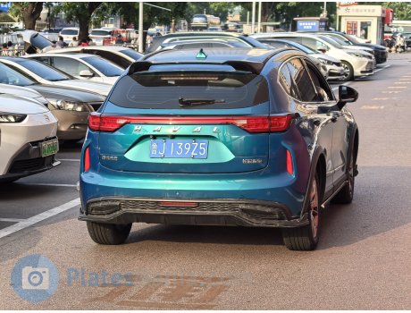 鲁J·139Z5, Haval Chitu