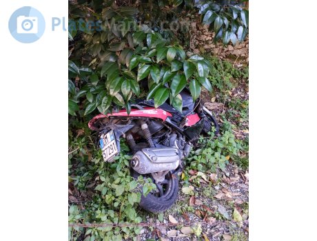 DM 37291, Gilera Runner