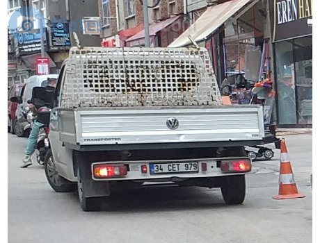 34 CET 979, Volkswagen Transporter