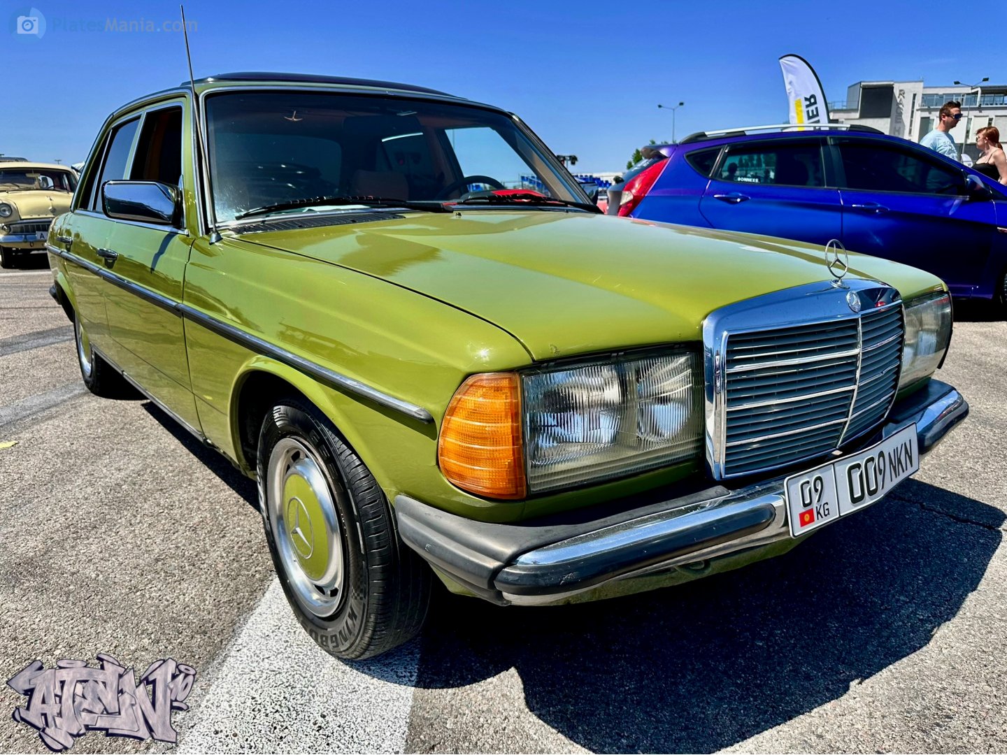 09 009 NKN, Mercedes-Benz E-Klasse 200–300 Sedan (W123), 1975­–1986