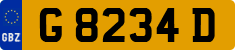 G 8234 D