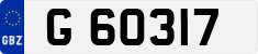 G 60317