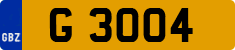 G 3004
