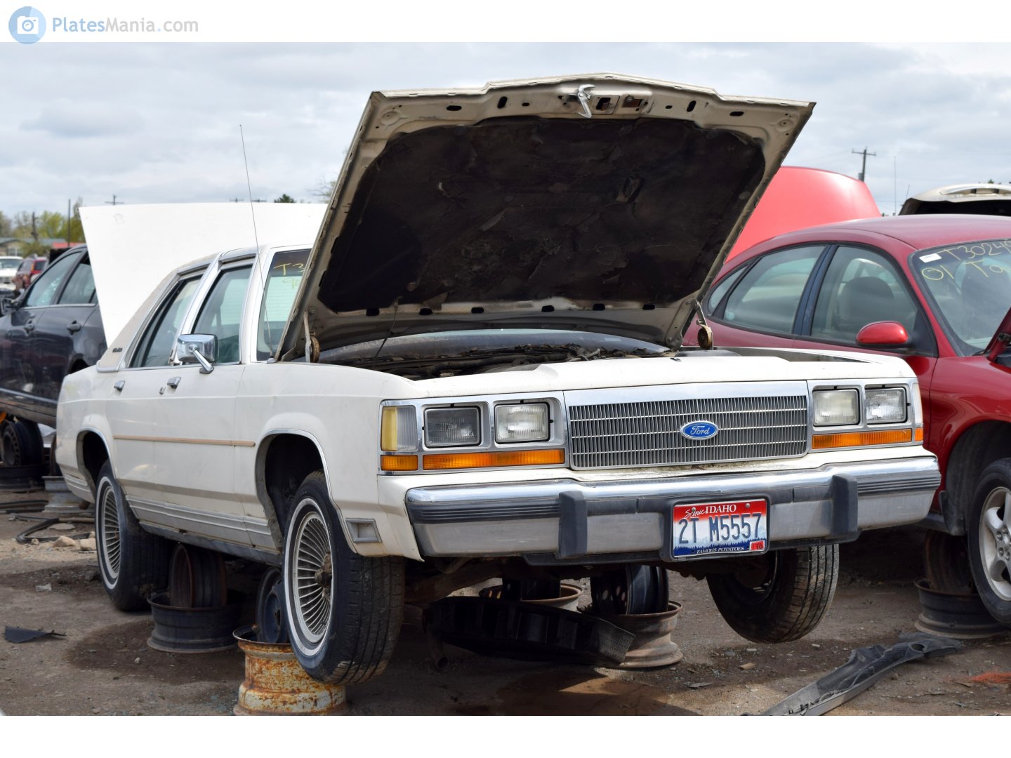 2T M5557, Ford Crown Victoria LTD 4-door Sedan (54K), 1979–1991
