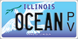 Illinois, Specialty plates