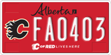 Alberta, Calgary Flames (FA1234)