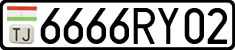 6666RY02