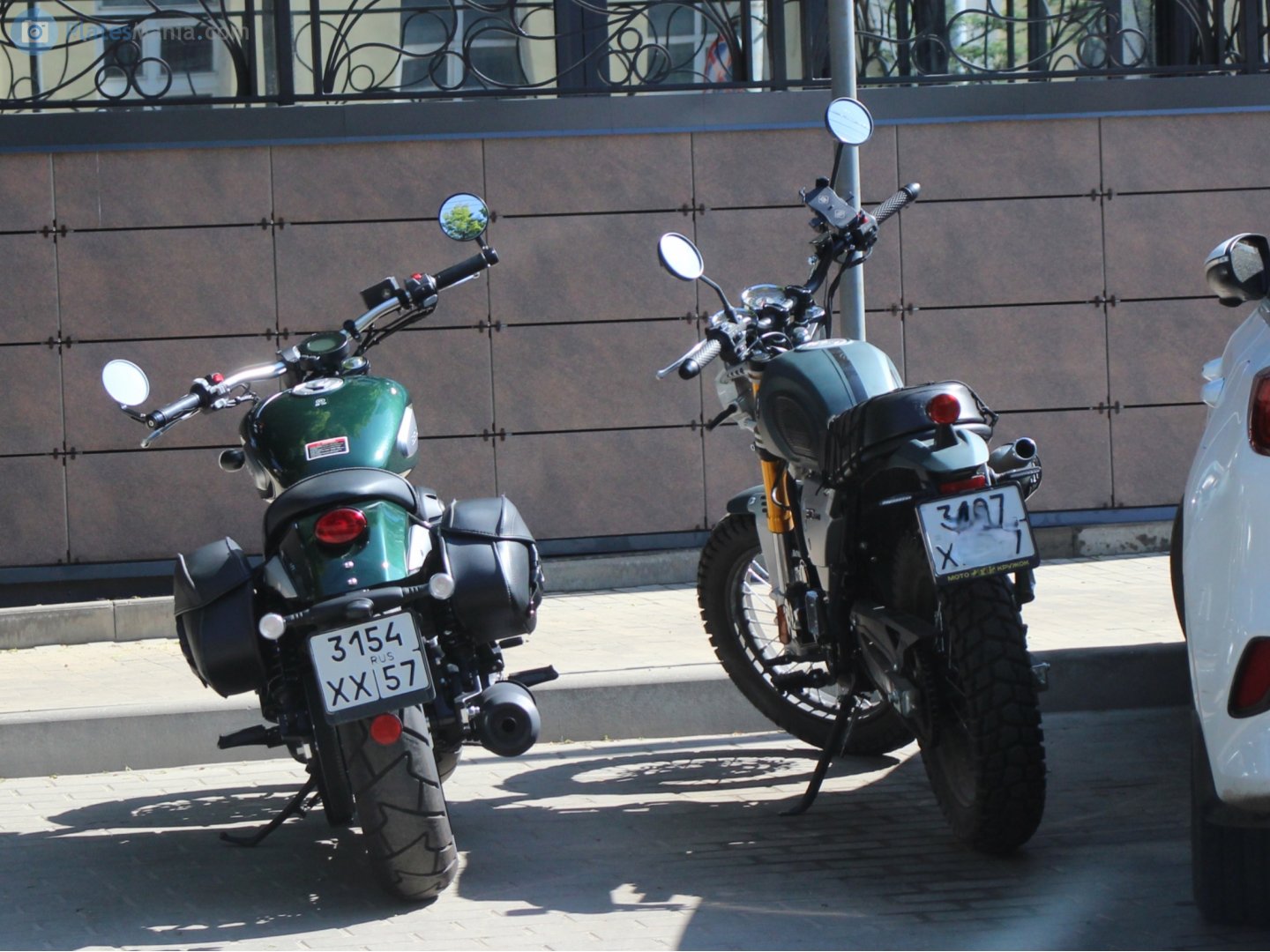 3154 хх 57, Benda Chinchilla 