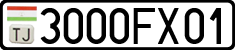 3000FX01