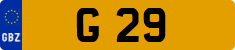 G 29