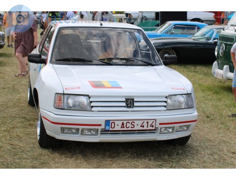 O-ACS-414, Peugeot 309