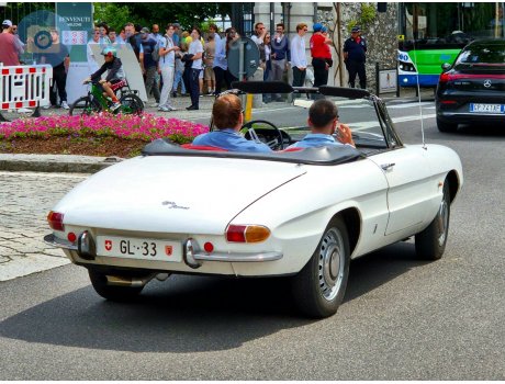 GL 33, Alfa Romeo Spider