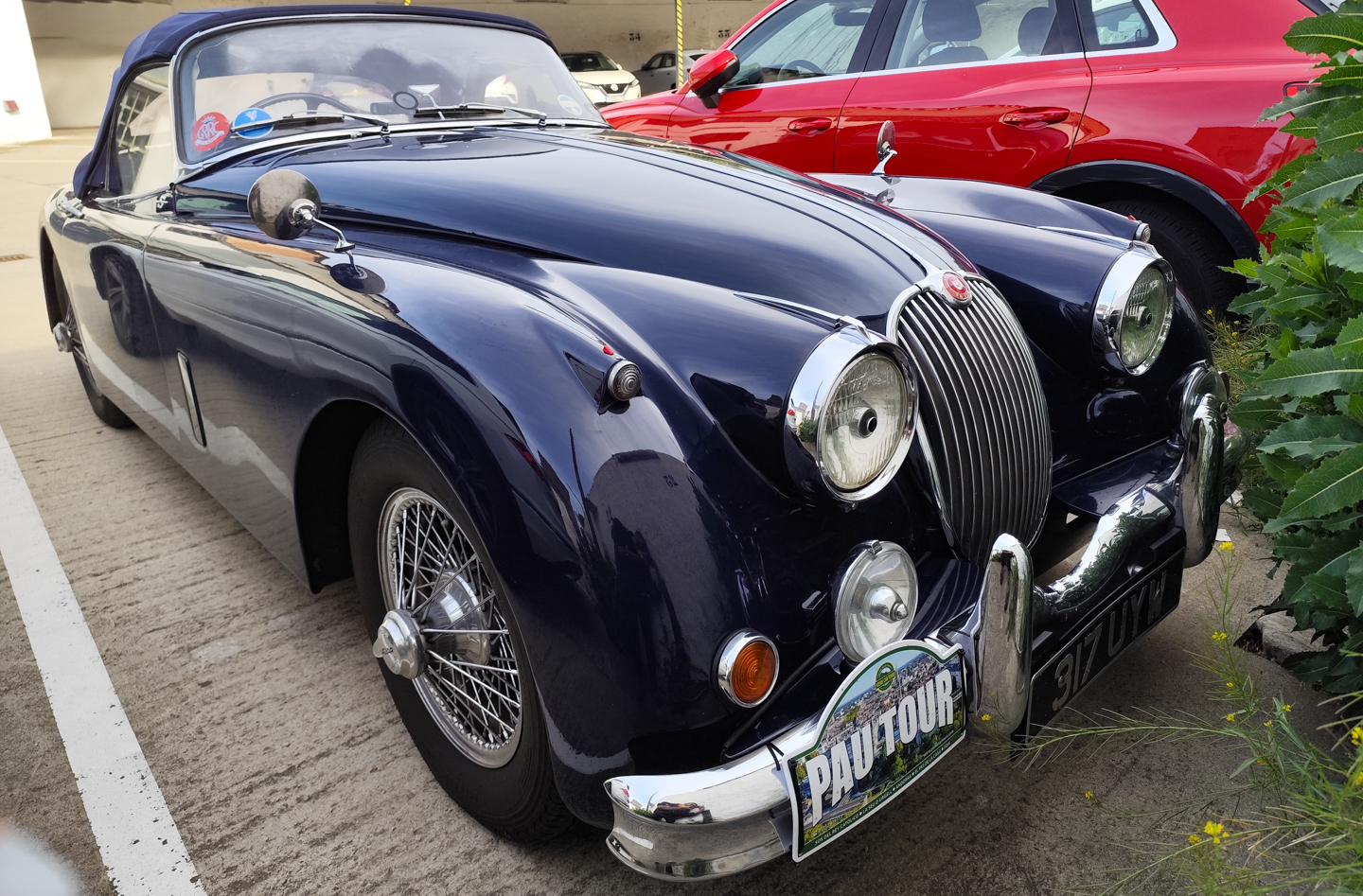 317UYW, Jaguar XK150 