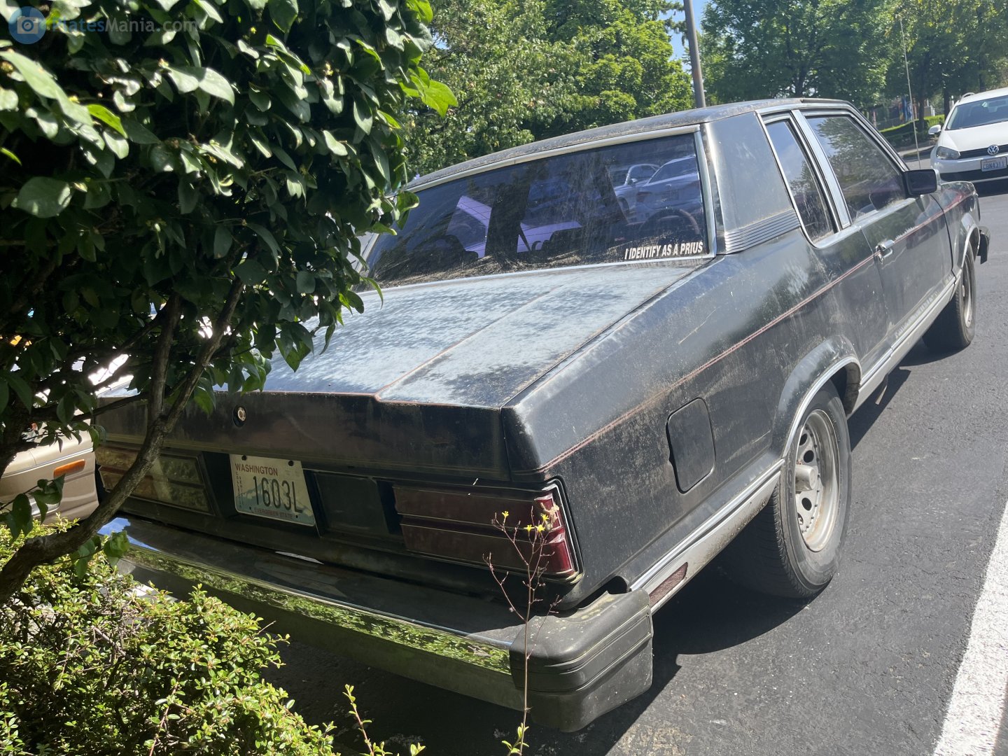 1603L, Ford Granada 2nd gen (NA-market), 1980–1982
