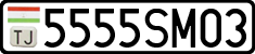 5555SM03