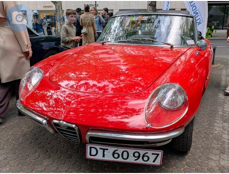 DT 60967, Alfa Romeo Spider