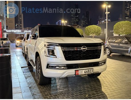 20 44823, Nissan Patrol