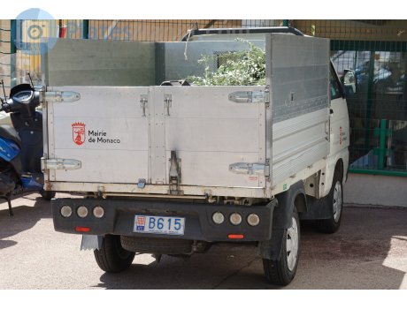 B615, Piaggio Quargo