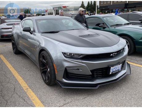 242SS1LE, Chevrolet Camaro