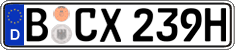 German license plate, Plates for oldtimers (type 