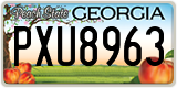 Georgia, ABC 1234