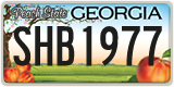 Georgia, ABC 1234