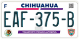 Chihuahua, Cars (AAA-000-A)