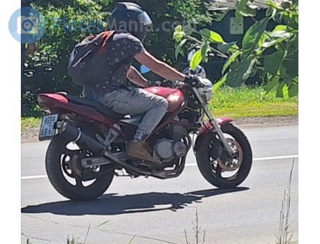 9559 ав 63, Suzuki GSF Series (Bandit)