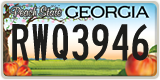 Georgia, ABC 1234