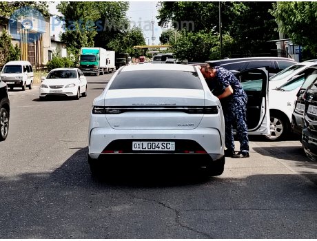 01 L 004 SC, BYD Chazor