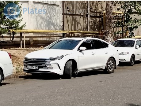 01 L 004 SC, BYD Chazor