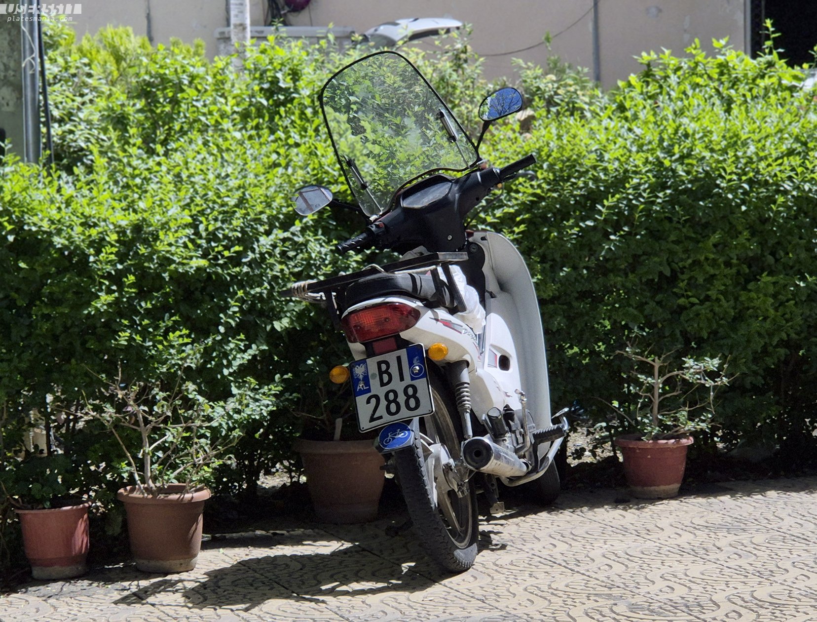 BI 288, Dayang DY Series 