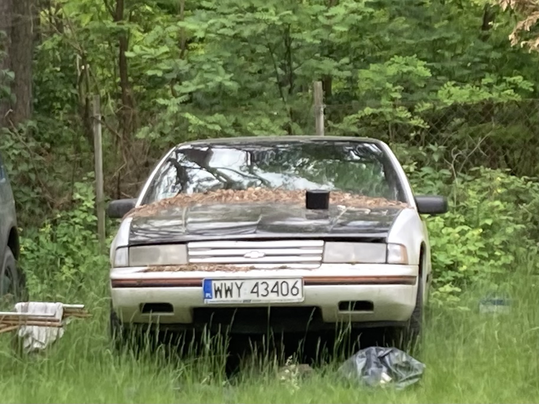 WWY 43406, Chevrolet Lumina 1st gen Sedan (69; W-body), 1989–1994